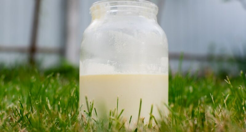 Raw milk tied to over 21 illness cases, 7 hospitalizations in Florida