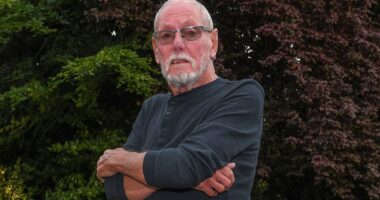 Rayner accused of failure to tackle tall trees overshadowing neighbour