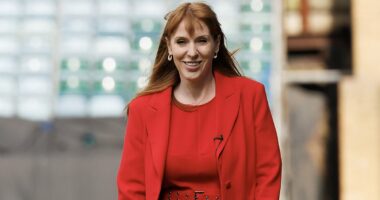 Rayner used wealth protection firm in house deal