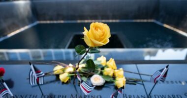 Remains of 3 victims killed in 9/11 attack identified nearly 24 years later