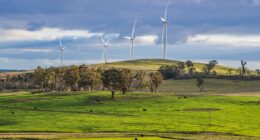 Renewable energy capital is forced to bring in diesel generators