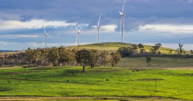 Renewable energy capital is forced to bring in diesel generators