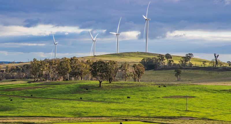 Renewable energy capital is forced to bring in diesel generators