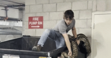 Reptile hunter climbs into apartment building dumpster to remove 16-foot python in Los Angeles