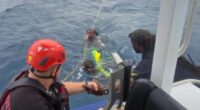 Rescue crews scramble to save divers swept away by Hurricane Erin