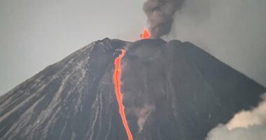 Ring of Fire ERUPTS as megaquake sets off huge volcanic chain reaction