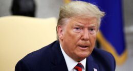 Russia blames Trump for Iran nuclear crisis, says E3 has turned to 'diplomacy at the barrel of the gun'