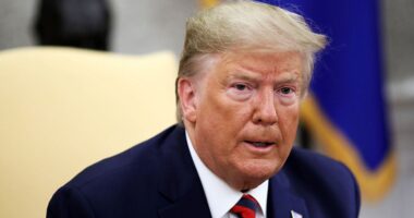 Russia blames Trump for Iran nuclear crisis, says E3 has turned to 'diplomacy at the barrel of the gun'