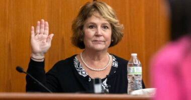 SC Attorney General fires back at Murdaugh appeal claims