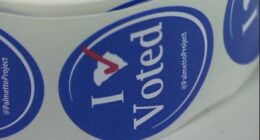 SC gubernatorial candidate calls for redrawing of state's congressional districts