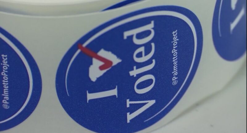 SC gubernatorial candidate calls for redrawing of state's congressional districts