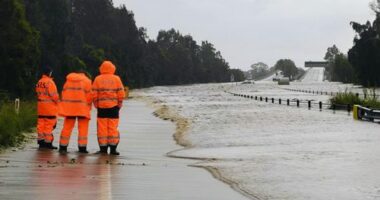 SES on standby for flooding over large parts of NSW as downpour persists