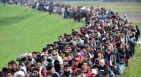 SUE REID: The decade that changed Europe for ever