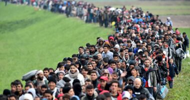 SUE REID: The decade that changed Europe for ever