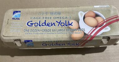 Salmonella outbreak linked to eggs sickens 95 people, CDC says