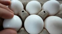 Salmonella outbreak linked to recalled eggs; 95 sick since January