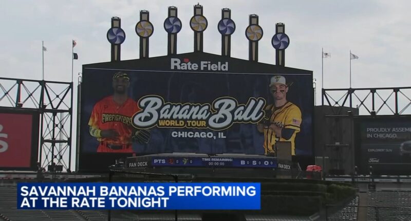 Savannah Bananas baseball team playing sold-out games at Rate Field in Chicago as part of 2025 world tour