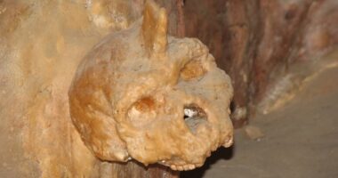 Scientists BAFFLED by skull in cave that's not human or Neanderthal