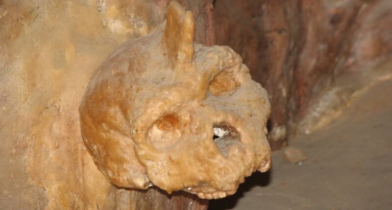 Scientists BAFFLED by skull in cave that's not human or Neanderthal