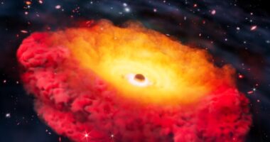 Scientists discovered a distant black hole 300 million times the size of the sun. It's a portal back in time.