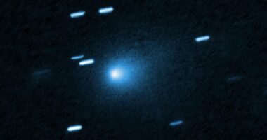 Scientists reveal six-Word message for interstellar object visit