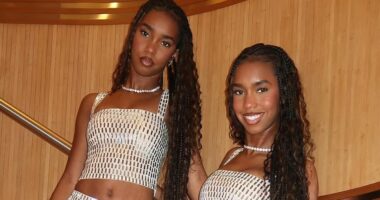 Sean 'Diddy' Combs' daughters KICKED OFF rollercoaster over rude act
