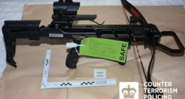 Self-proclaimed 'Nazi' schoolboy, 15, who stockpiled weapons is jailed