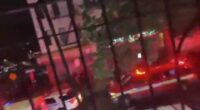 Emergency responders at a Brooklyn shooting scene.