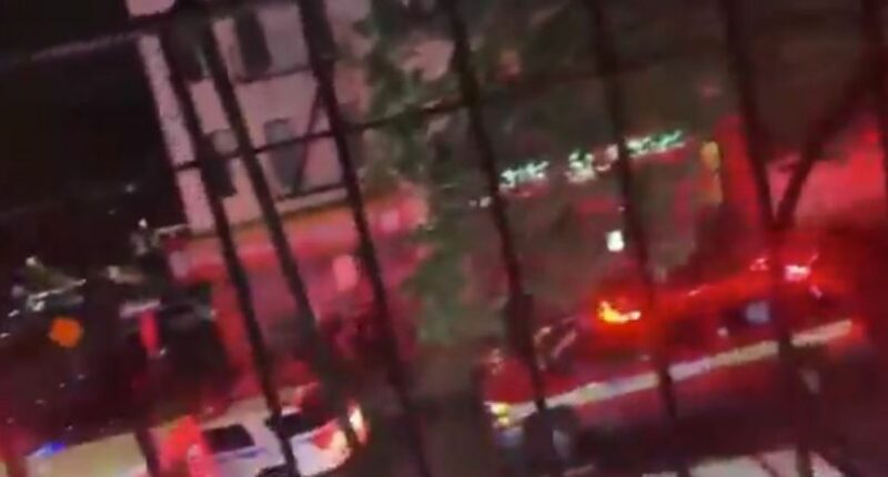 Emergency responders at a Brooklyn shooting scene.