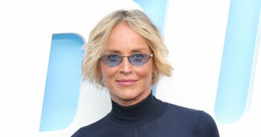 Sharon Stone makes rare red carpet appearance with three adoptive sons
