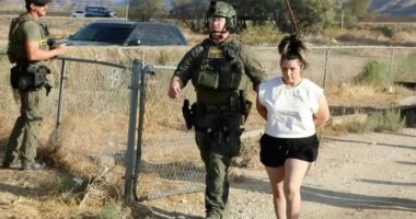 Arrest of Jake and Rebecca Haro for murder.
