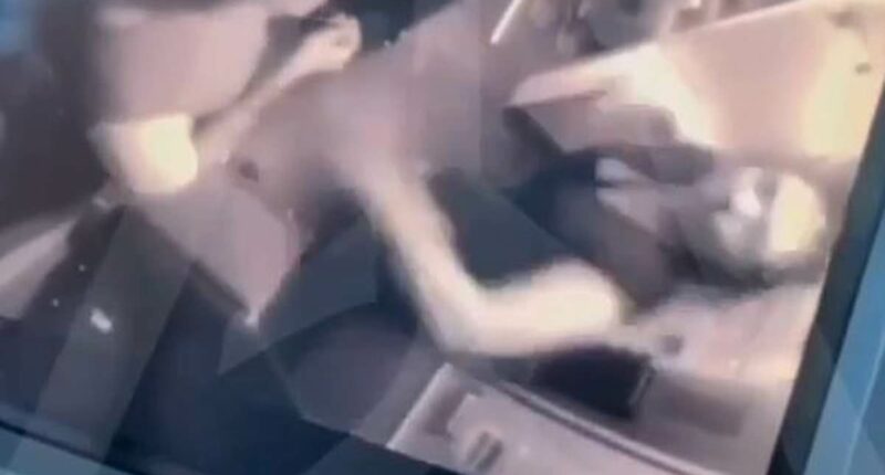 Shocking moment passenger punches cabin crew in mid-flight rampage