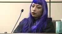 Sick details of how purple-haired mom 'helped son, 13, plan mass school shooting as a reward for babysitting'