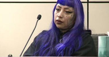 Sick details of how purple-haired mom 'helped son, 13, plan mass school shooting as a reward for babysitting'