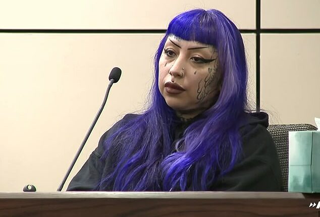 Sick details of how purple-haired mom 'helped son, 13, plan mass school shooting as a reward for babysitting'