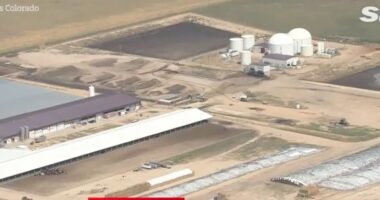 Aerial view of Prospect Valley Dairy in Keenesburg after six people were found dead.
