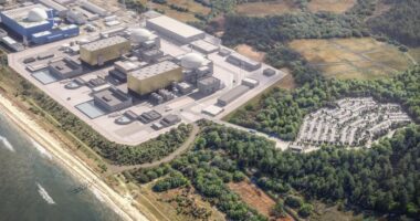 Aerial CGI rendering of the Sizewell C nuclear power plant. The facility features several large, rectangular buildings with domed reactors