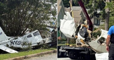 Small aircraft plummets into Georgia neighborhood, leaves 3 injured