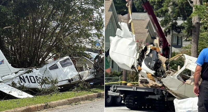 Small aircraft plummets into Georgia neighborhood, leaves 3 injured