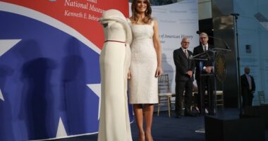 Smithsonian Explaining Why It Changed Presidential History Display Leaves 'Resist Trump' Media in Tears