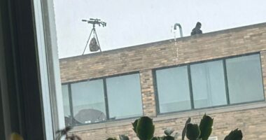 Sniper rifle falls off roof during Buffalo's St. Patrick's Day parade