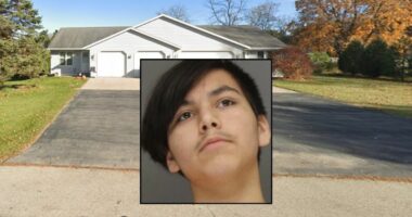 Son attacks mom for deleting 'rap videos' off YouTube: Cops