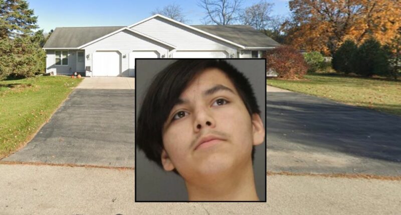 Son attacks mom for deleting 'rap videos' off YouTube: Cops