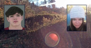 Son killed his sleeping mother for taking his cellphone away