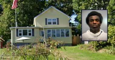 Son murdered mom, stuffed remains in over a dozen bags: Cops