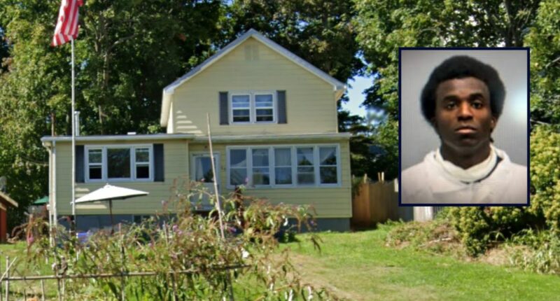 Son murdered mom, stuffed remains in over a dozen bags: Cops