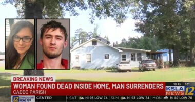 Son stabbed his mom in the neck as she slept, deputies say