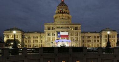 Sounds Like They're Cracking: Texas Democrat Gene Wu's Latest Whine Is One for the Books