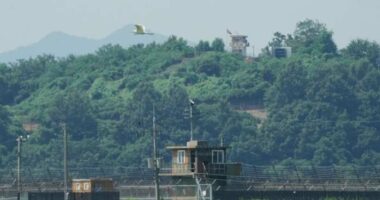 South Korea's military says North Korea is removing speakers from their tense border