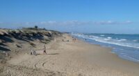 Spain CLOSES its beaches over invasion of deadly sea creatures